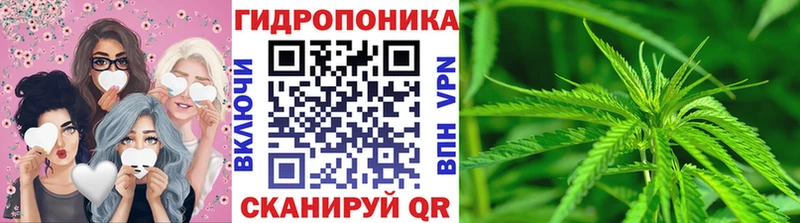 МАРИХУАНА ГИДРОПОН  нарко площадка наркотические препараты  Почеп 
